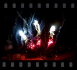 video cerna hora 2019